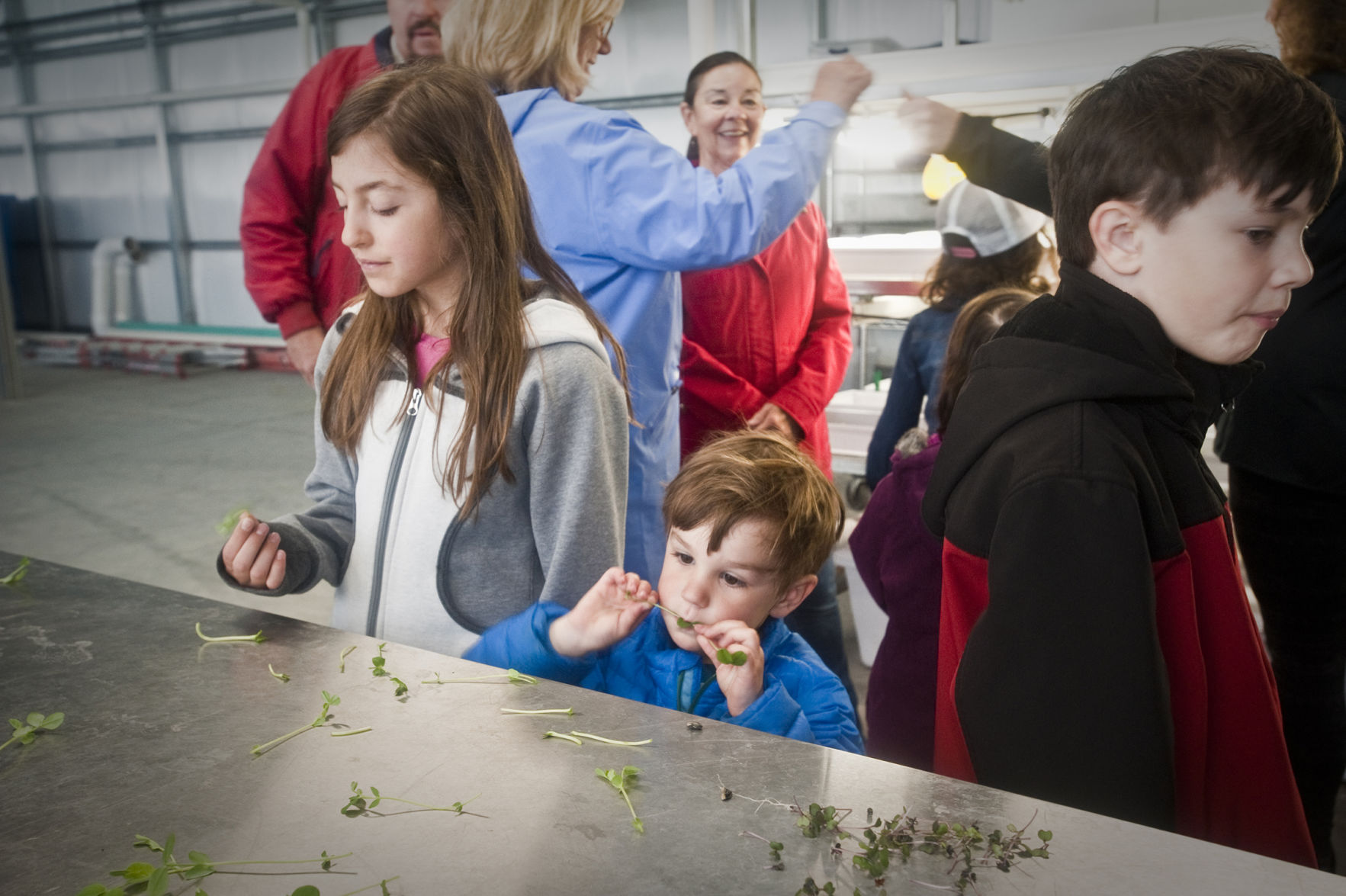 Junior Gardeners